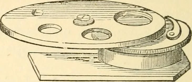 An illustration from Half-hours with the microscope; being a popular guide to the use of the microscope as a means of amusement and instruction, 1863, leaf 36