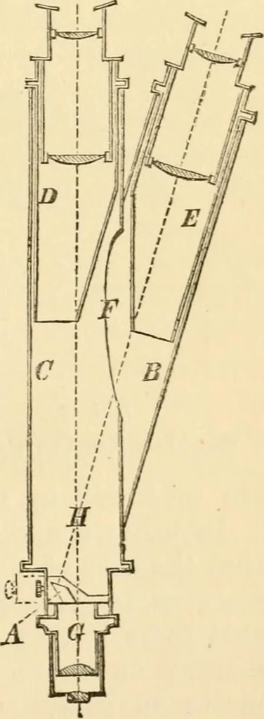 An illustration from Half-hours with the microscope; being a popular guide to the use of the microscope as a means of amusement and instruction, 1863, leaf 41