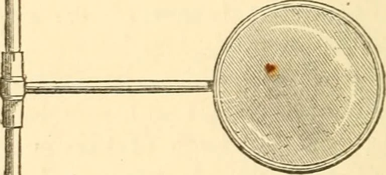 An illustration from Half-hours with the microscope; being a popular guide to the use of the microscope as a means of amusement and instruction, 1863, leaf 46