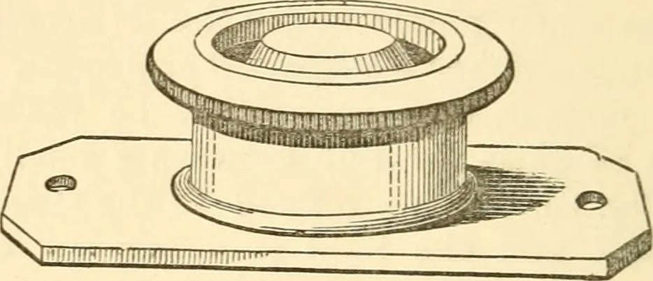 An illustration from Half-hours with the microscope; being a popular guide to the use of the microscope as a means of amusement and instruction, 1863, leaf 48
