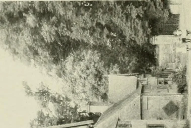 An illustration from The half-timber house; its origin, design, modern plan, and construction;, 1912, leaf 45