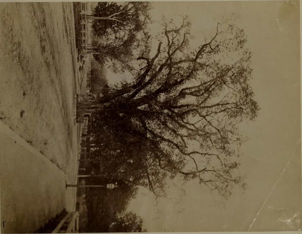 An illustration from Halliday's collection of photographs of colonial and provincial houses, 1628-1775, 1894, leaf 184