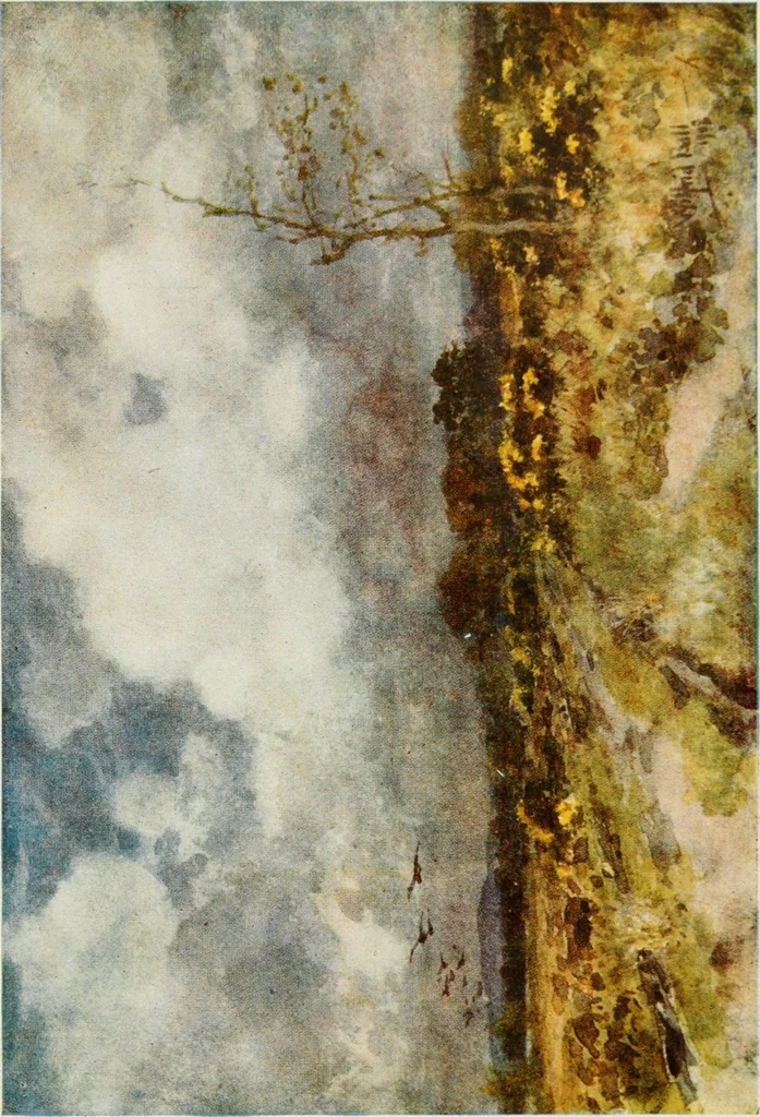 An illustration from Hampshire water-colours, 1913, leaf 36