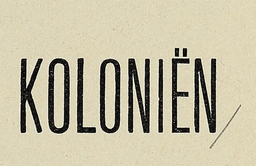 An illustration from Handboek over alle post- en portozegels van Nederland en Koloniën : met vermelding van alle typen, alle kleurverschillen, alle tandingen, afwijkingen enz., voor zoover die tot op heden bekend zijn, 1908, leaf 3