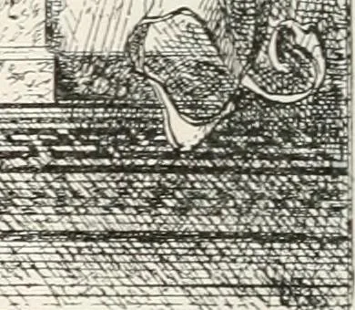 An illustration from Handbook for architects and builders, 1898, leaf 34