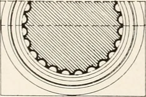 An illustration from Handbook for architects and builders, 1898, leaf 243
