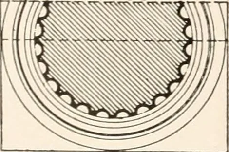 An illustration from Handbook for architects and builders, 1898, leaf 252