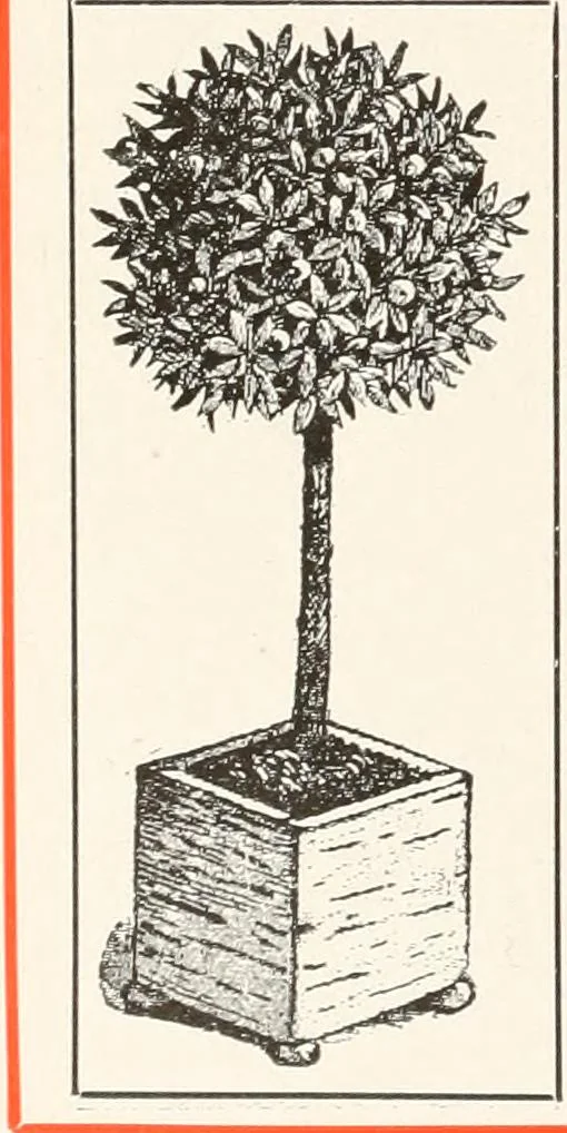 An illustration from Handbook for architects and builders, 1898, leaf 251