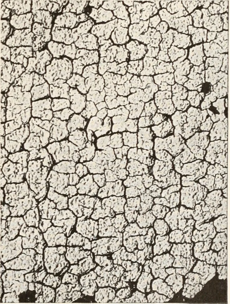 An illustration from Handbook for architects and builders, 1898, leaf 228