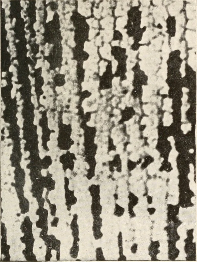 An illustration from Handbook for architects and builders, 1898, leaf 234