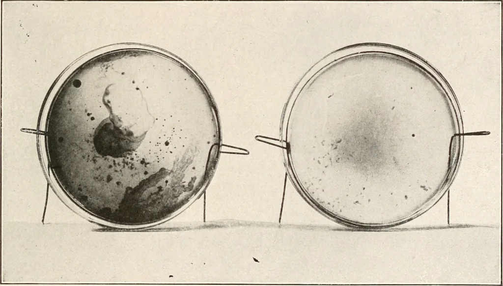 An illustration from Handbook for architects and builders, 1898, leaf 236