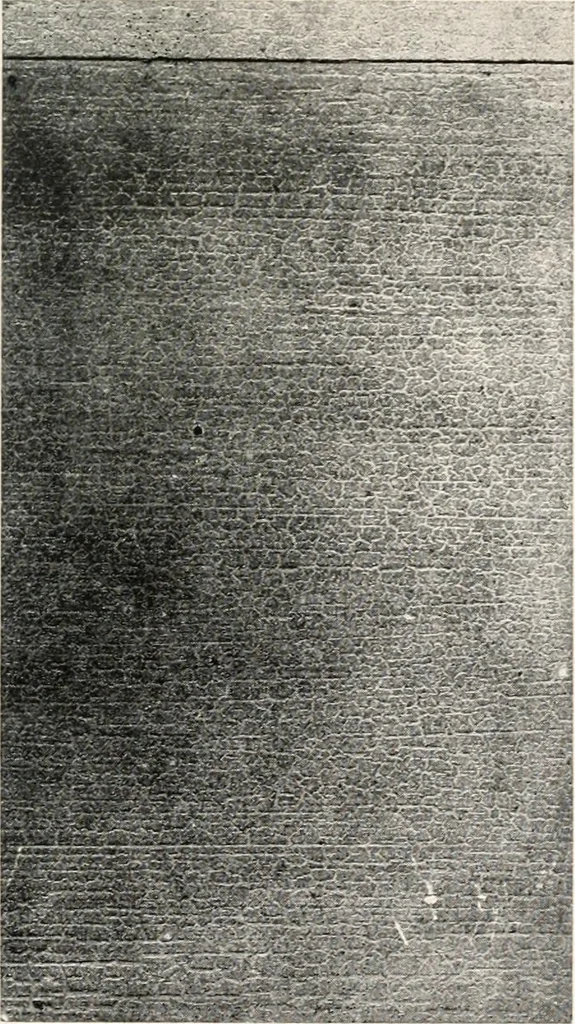An illustration from Handbook for architects and builders, 1898, leaf 227