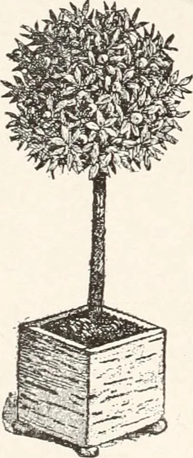 An illustration from Handbook for architects and builders, 1898, leaf 32