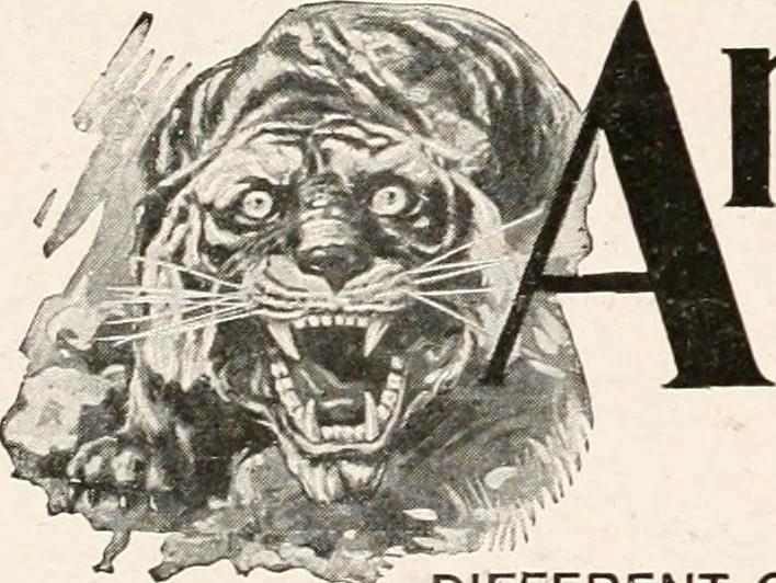 An illustration from Handbook for architects and builders, 1898, leaf 14