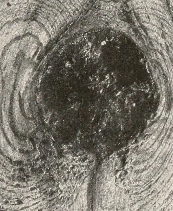 An illustration from Handbook for architects and builders, 1898, leaf 239