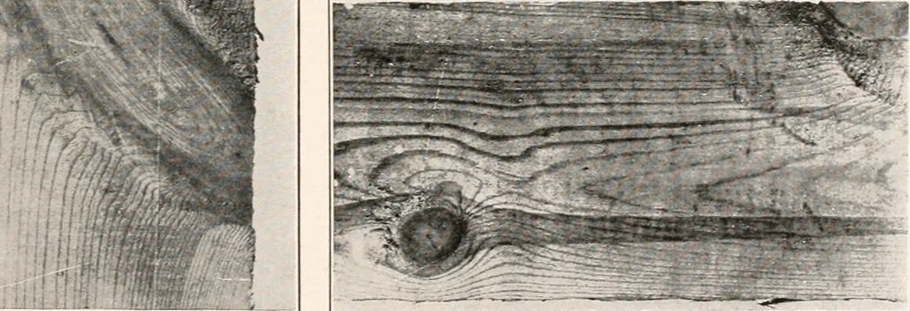 An illustration from Handbook for architects and builders, 1898, leaf 243