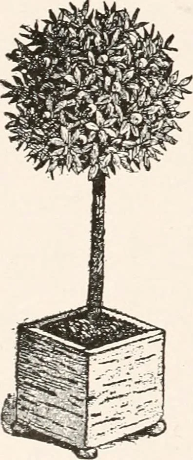 An illustration from Handbook for architects and builders, 1898, leaf 34