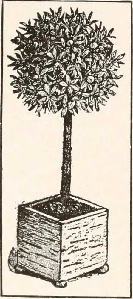An illustration from Handbook for architects and builders, 1898, leaf 35