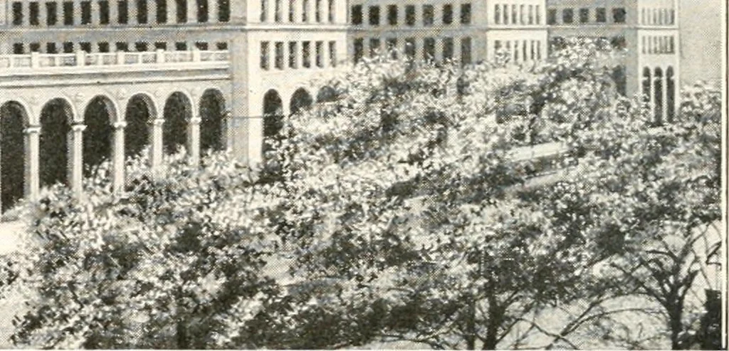 An illustration from Handbook for architects and builders, 1898, leaf 510