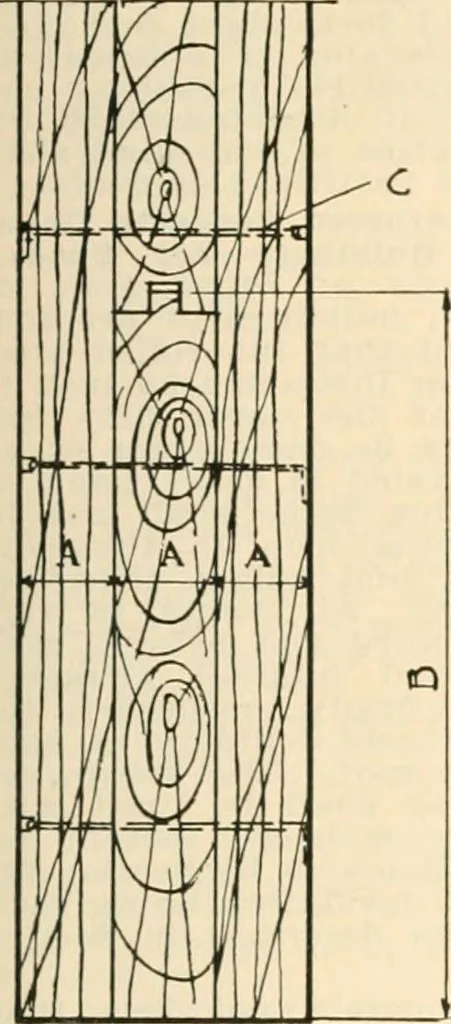 An illustration from Handbook for architects and builders, 1898, leaf 246