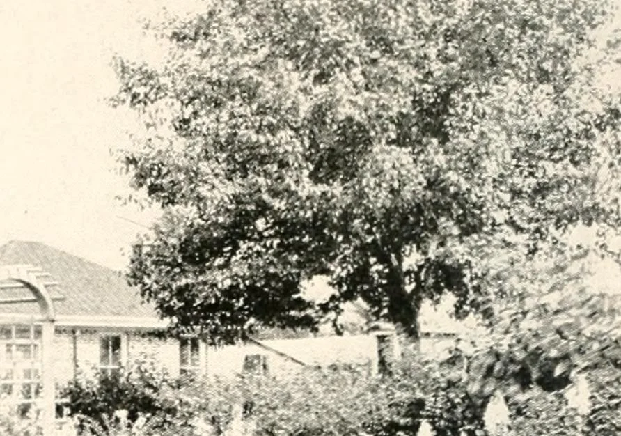 An illustration from Handbook for architects and builders, 1898, leaf 75