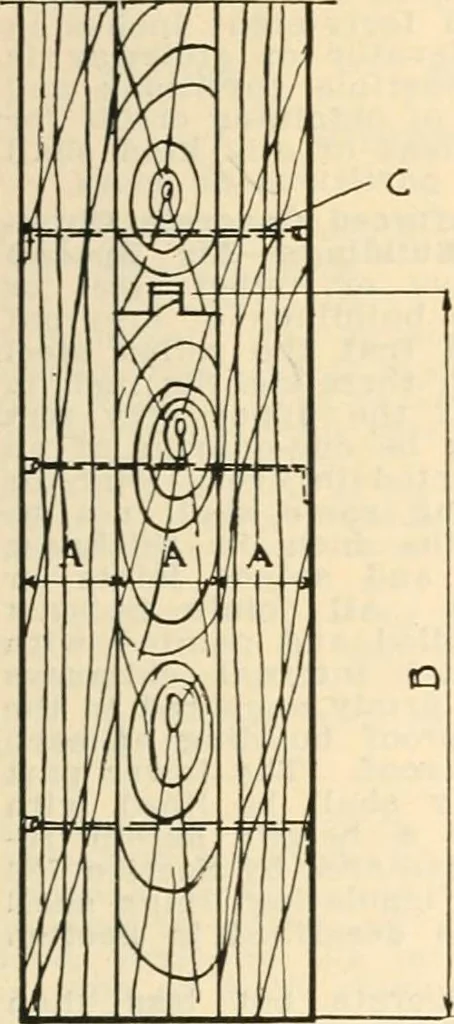 An illustration from Handbook for architects and builders, 1898, leaf 246