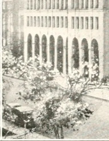 An illustration from Handbook for architects and builders, 1898, leaf 417