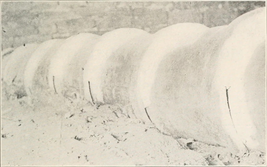 An illustration from Handbook for architects and builders, 1898, leaf 534