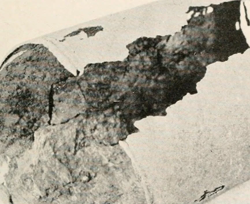 An illustration from Handbook for architects and builders, 1898, leaf 536