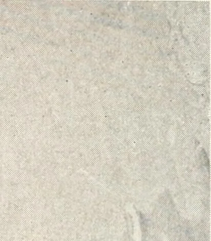 An illustration from Handbook for architects and builders, 1898, leaf 481