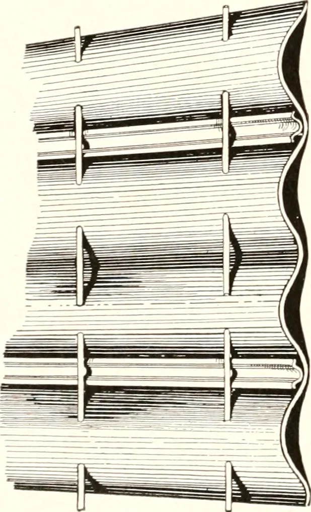 An illustration from Handbook for architects and builders, 1898, leaf 86