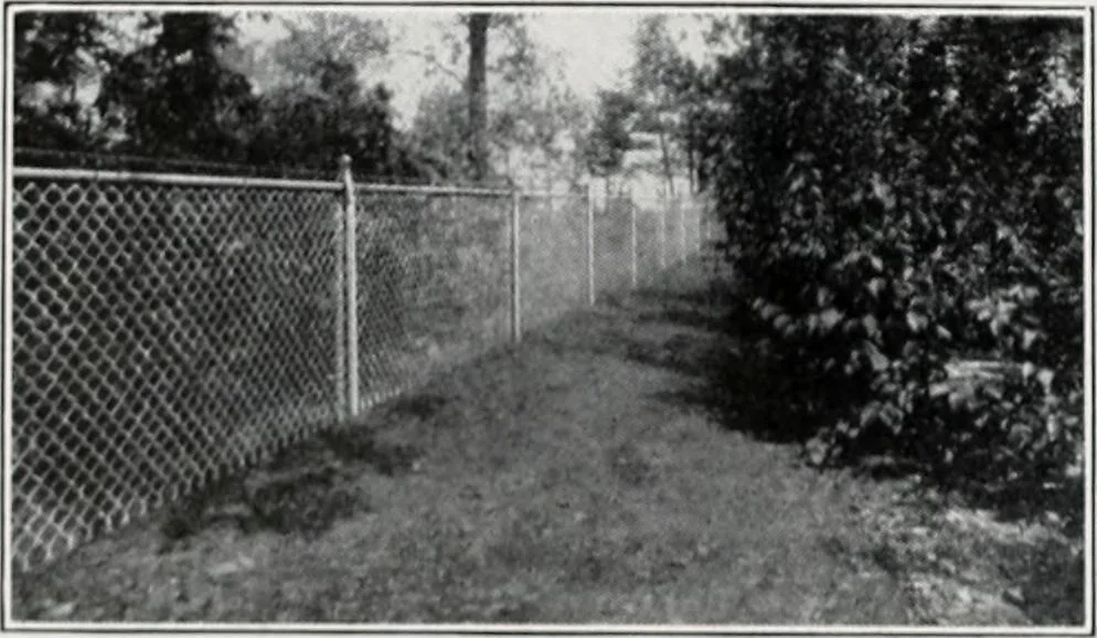 An illustration from Handbook for architects and builders, 1898, leaf 68