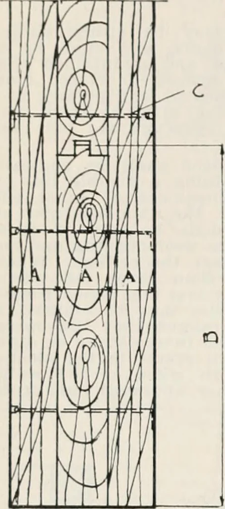 An illustration from Handbook for architects and builders, 1898, leaf 251