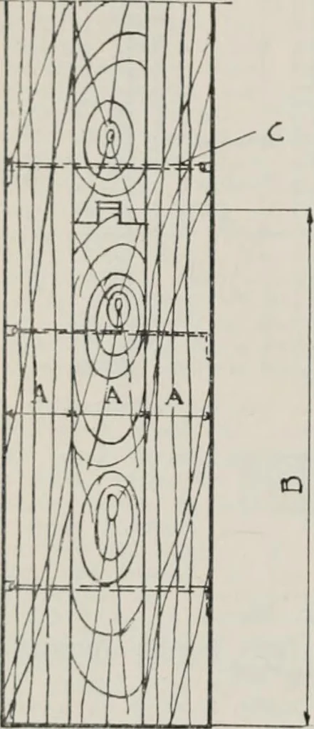 An illustration from Handbook for architects and builders, 1898, leaf 219