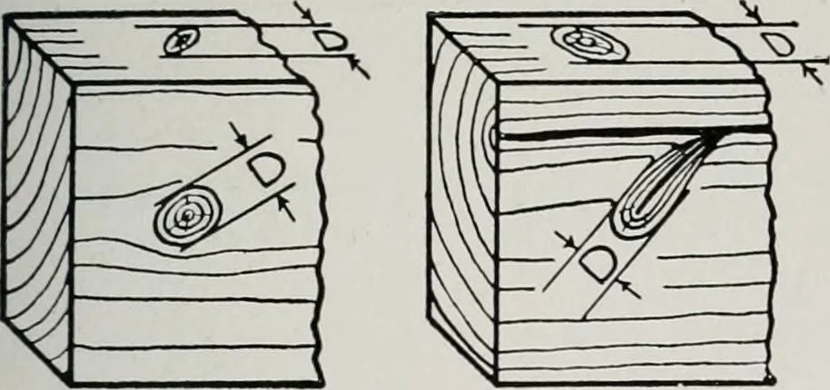 An illustration from Handbook for architects and builders, 1898, leaf 559
