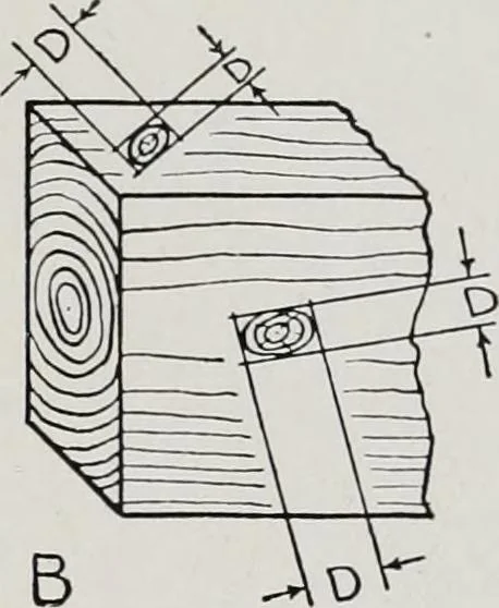 An illustration from Handbook for architects and builders, 1898, leaf 559