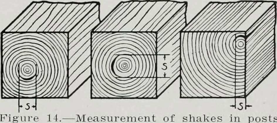 An illustration from Handbook for architects and builders, 1898, leaf 561