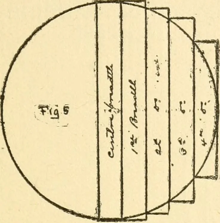 An illustration from Handbook for carpet measurers, cutters and salesmen, 1905, leaf 110
