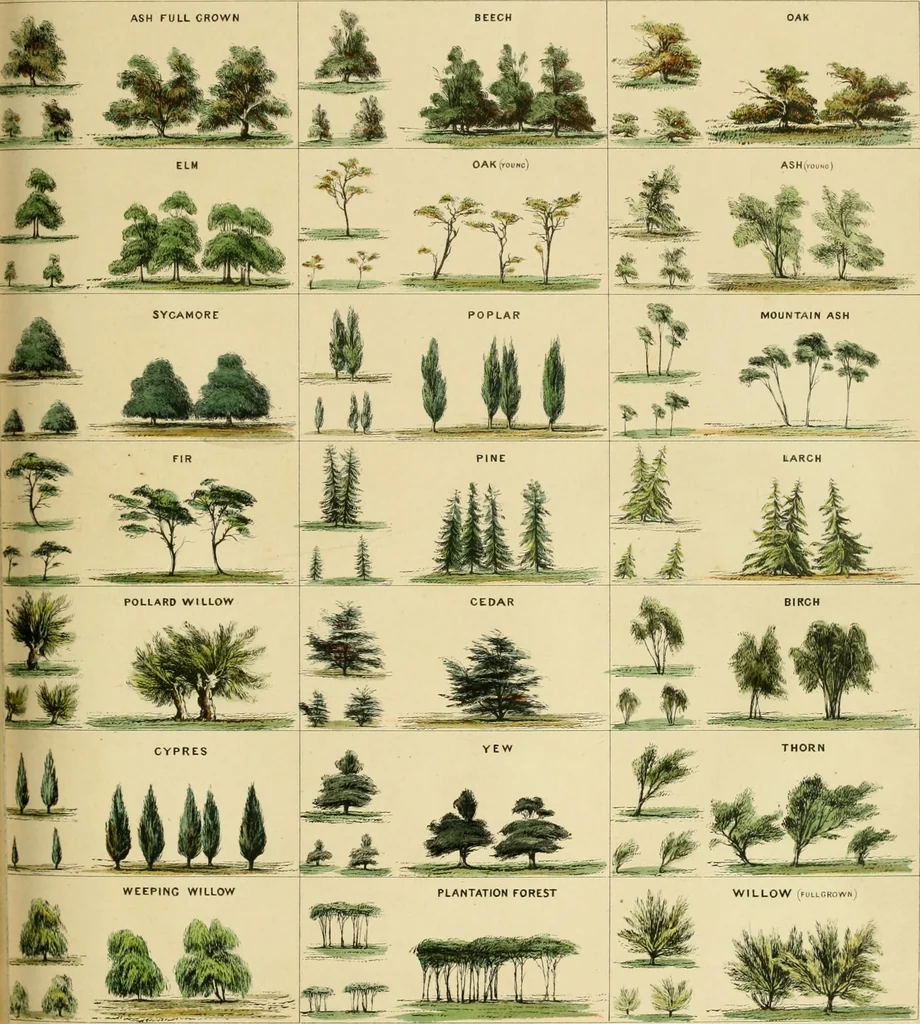 An illustration from A hand-book for mapping, engineering, and architectural drawing : in which maps of all descriptiosn are analyzed, and their several uses fully explained ; intended for the use of civil engineers, architects, and surveyors, also for naval and military academies, engineering schools and colleges, and draughtsmen ; illustrated with forty-three large plates and thirty-nine woodcuts, among which will be found examples of a parliamentary railway plan, section, and cross sections, prepared in compliance with the standing orders of the House of Commons ; with plain instructions for lithographing and zincographing maps and drawings, and an exposition of the relative cost and merits of engraving, lithographing, and zincographing, 1846, leaf 125