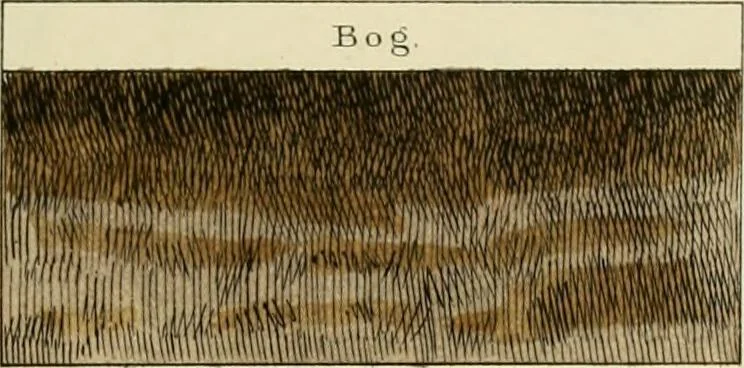 An illustration from A hand-book for mapping, engineering, and architectural drawing : in which maps of all descriptiosn are analyzed, and their several uses fully explained ; intended for the use of civil engineers, architects, and surveyors, also for naval and military academies, engineering schools and colleges, and draughtsmen ; illustrated with forty-three large plates and thirty-nine woodcuts, among which will be found examples of a parliamentary railway plan, section, and cross sections, prepared in compliance with the standing orders of the House of Commons ; with plain instructions for lithographing and zincographing maps and drawings, and an exposition of the relative cost and merits of engraving, lithographing, and zincographing, 1846, leaf 129