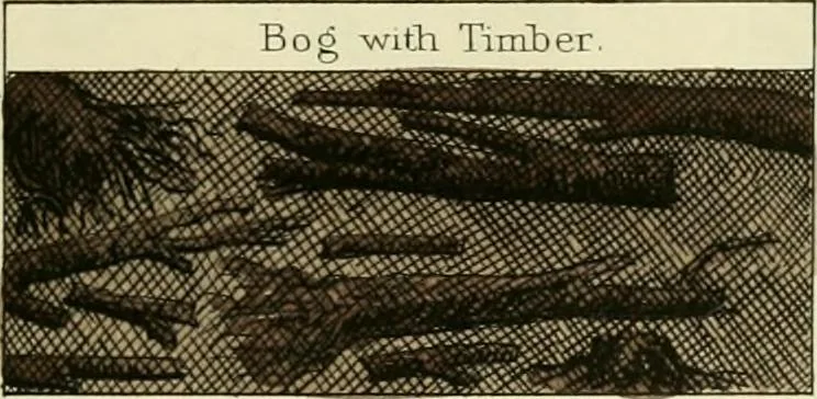 An illustration from A hand-book for mapping, engineering, and architectural drawing : in which maps of all descriptiosn are analyzed, and their several uses fully explained ; intended for the use of civil engineers, architects, and surveyors, also for naval and military academies, engineering schools and colleges, and draughtsmen ; illustrated with forty-three large plates and thirty-nine woodcuts, among which will be found examples of a parliamentary railway plan, section, and cross sections, prepared in compliance with the standing orders of the House of Commons ; with plain instructions for lithographing and zincographing maps and drawings, and an exposition of the relative cost and merits of engraving, lithographing, and zincographing, 1846, leaf 129