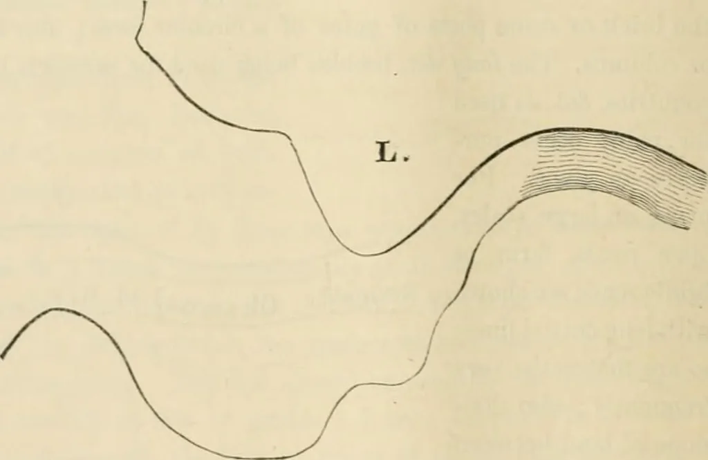 An illustration from A hand-book for mapping, engineering, and architectural drawing : in which maps of all descriptiosn are analyzed, and their several uses fully explained ; intended for the use of civil engineers, architects, and surveyors, also for naval and military academies, engineering schools and colleges, and draughtsmen ; illustrated with forty-three large plates and thirty-nine woodcuts, among which will be found examples of a parliamentary railway plan, section, and cross sections, prepared in compliance with the standing orders of the House of Commons ; with plain instructions for lithographing and zincographing maps and drawings, and an exposition of the relative cost and merits of engraving, lithographing, and zincographing, 1846, leaf 22
