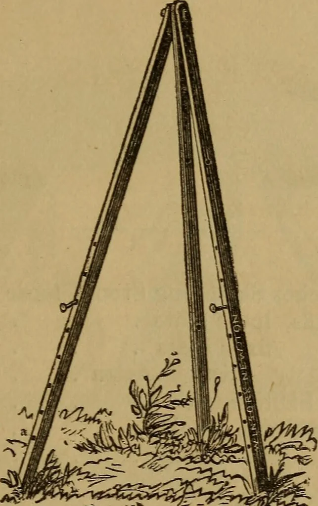 An illustration from Hand-book for the preservation of pictures; containing practical instructions for cleaning, lining, repairing, and restoring oil paintings, with remarks on the distribution of works of art in houses and galleries, their care and preservation, 1876, leaf 116