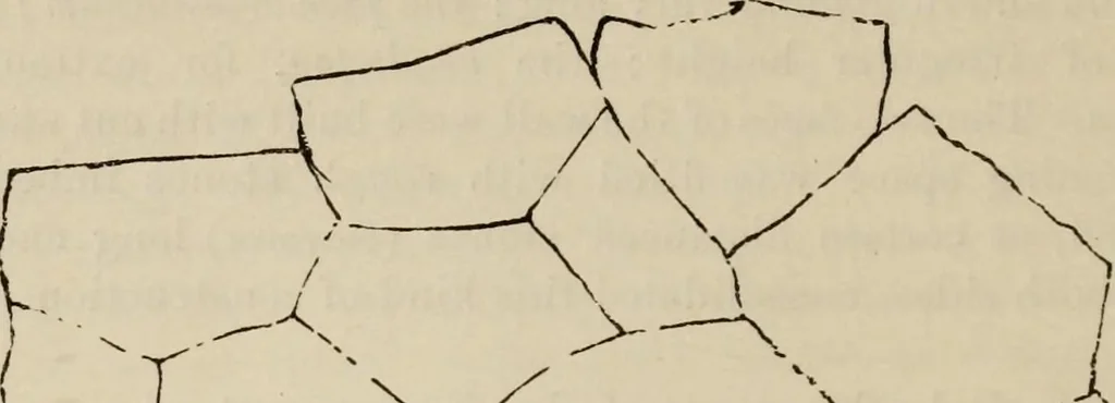 An illustration from Handbook of archaeology, Egyptian - Greek - Etruscan - Roman, 1867, leaf 22