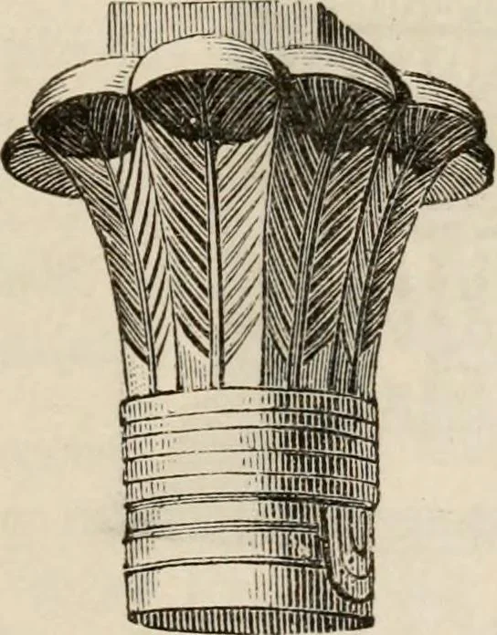 An illustration from Handbook of archaeology, Egyptian - Greek - Etruscan - Roman, 1867, leaf 57