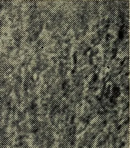 An illustration from Handbook of athletic games for players, instructors, and spectators, comprising fifteen major ball games, track and field athletics and rowing races, 1916, leaf 602