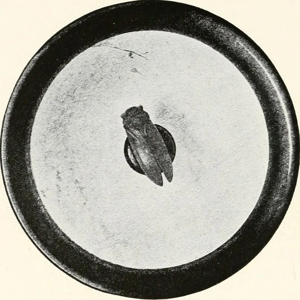 An illustration from A handbook of Attic red-figured vases signed by or attributed to the various masters of the sixth and fifth centuries B. C., 1919, leaf 439