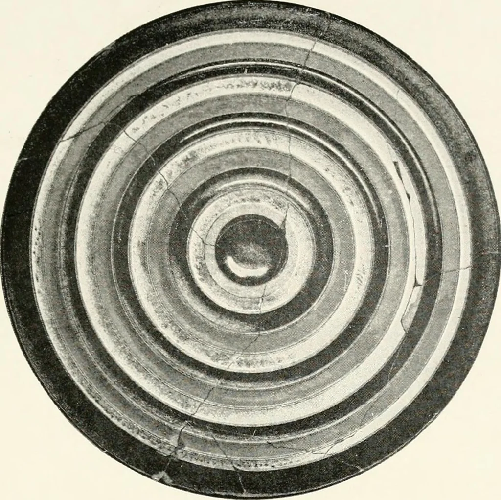 An illustration from A handbook of Attic red-figured vases signed by or attributed to the various masters of the sixth and fifth centuries B. C., 1919, leaf 442
