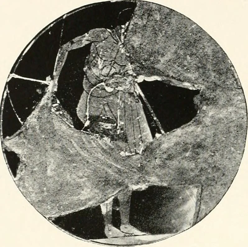 An illustration from A handbook of Attic red-figured vases signed by or attributed to the various masters of the sixth and fifth centuries B. C., 1919, leaf 507