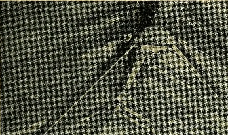 An illustration from Handbook of construction plant, its cost and efficiency, 1914, leaf 150